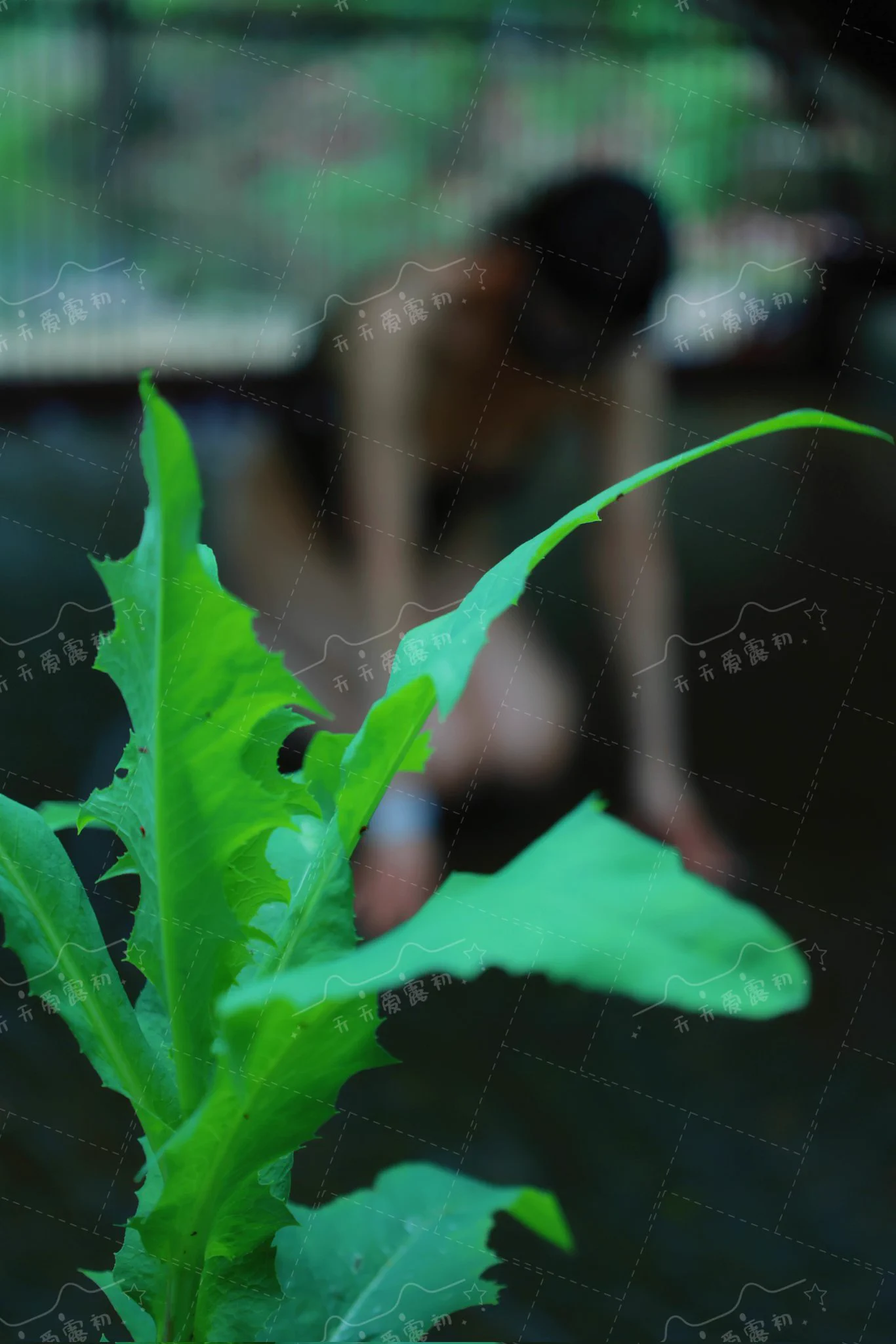 夏天夏天最适合的两种运动，玩水和玩老婆，结合在一起就是这样啦#少妇 #露出 #情趣@007share @wqganenshi_ @Public_Catgirl1 @luchu888888 https://t.co/E7YOVMPxQL