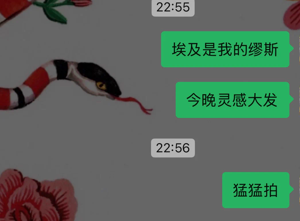 我爱埃及 https://t.co/TXM1b5va0n