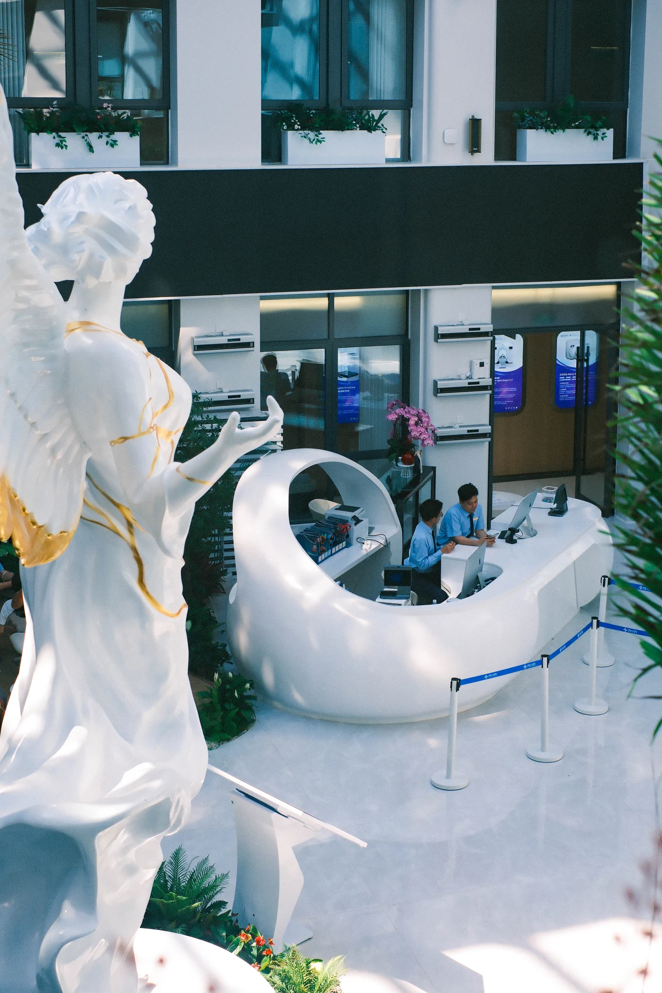 🚶Walking into the Physical Examination Center of Mellsser #Hospital 🏥, you won't get the typical "hospital smell" at all. The concentration of negative oxygen ions is as high as 17,000-20,000/cm3, 👀 as they are constantly produced by machines hidden behind the green plants!🍃
#Qionghai