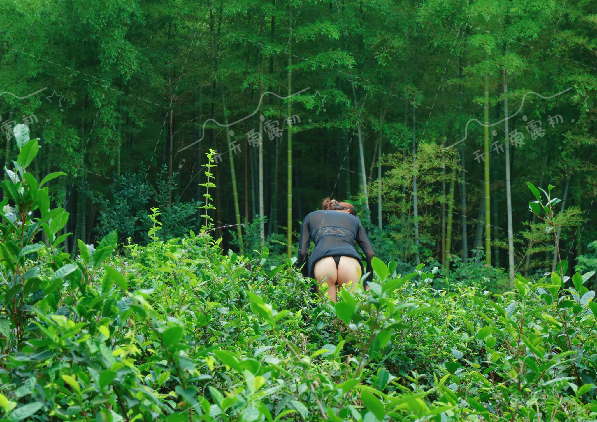 绿野仙踪第三季山风撩开轻薄的裙角，细腻的汗珠正从臀瓣滑落，刚好被茶树枝接住，这一季的茶叶就叫臀香吧，哈哈#少妇 #露出 #情趣@007share @wqganenshi_ @Public_Catgirl1 @luchu888888 https://t.co/7KOvGA4HMR