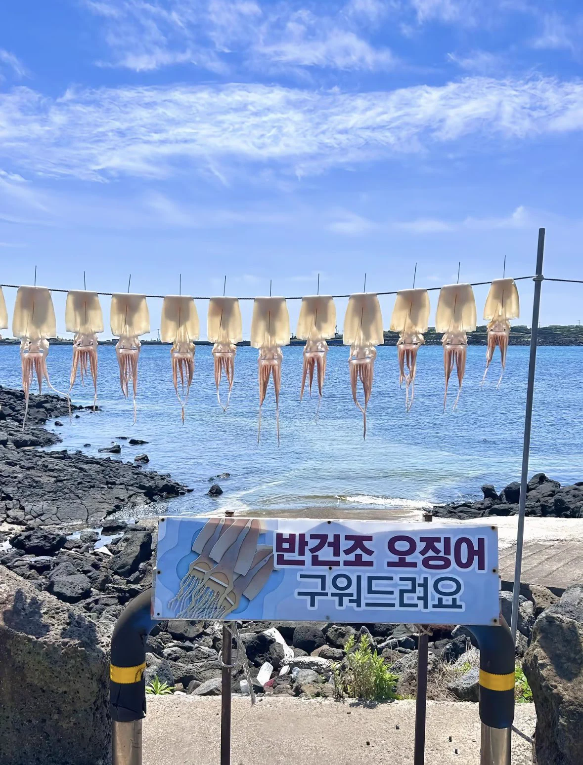 去韩国旅游一趟，晒黑了好多，心快碎了，景很美，下次不去了 https://t.co/7d549ub4Kc
