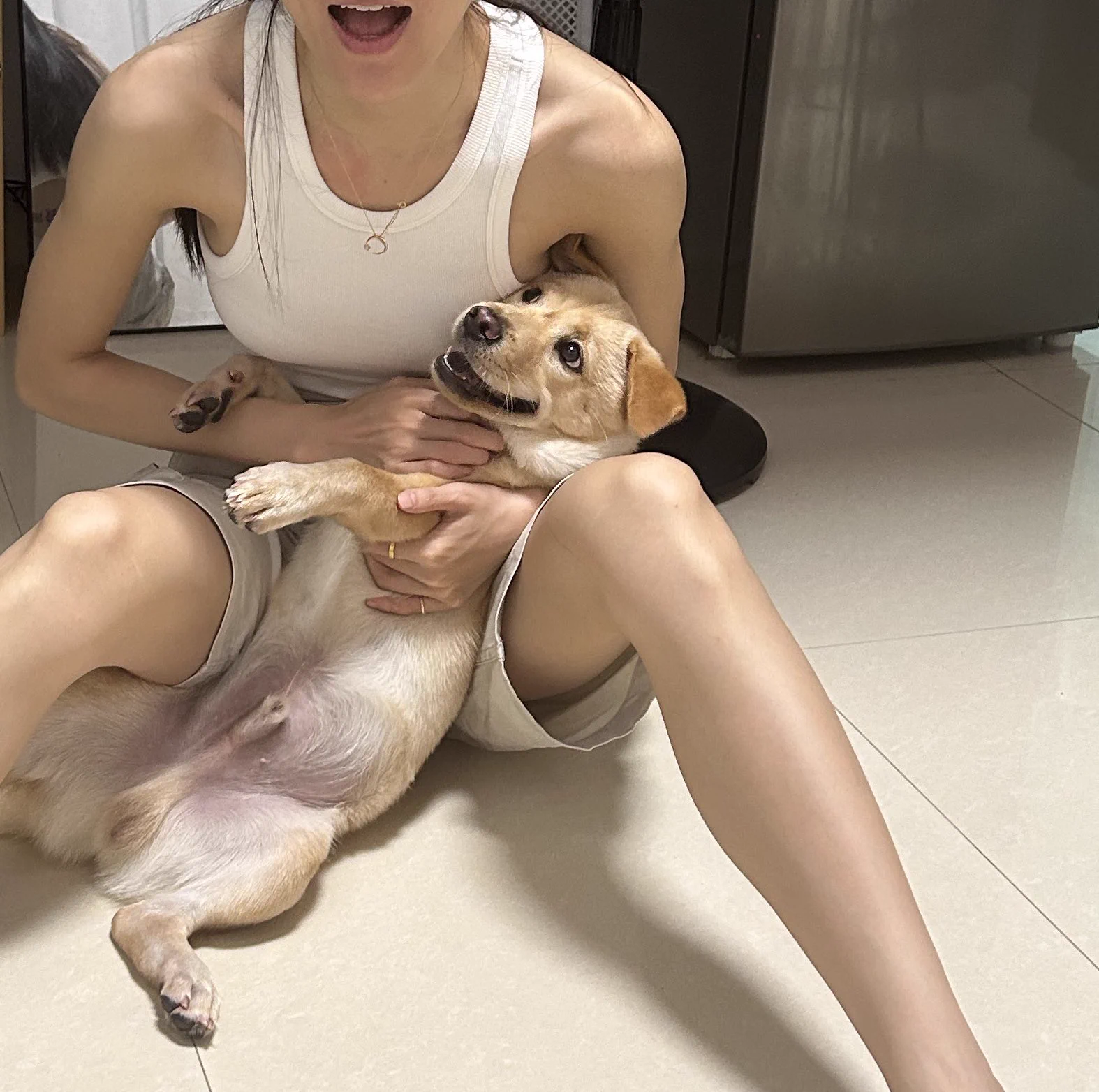 每只小狗都是主人自己的珍宝

好想糖糖小宝🥺🥺 https://t.co/nfKccIDesa