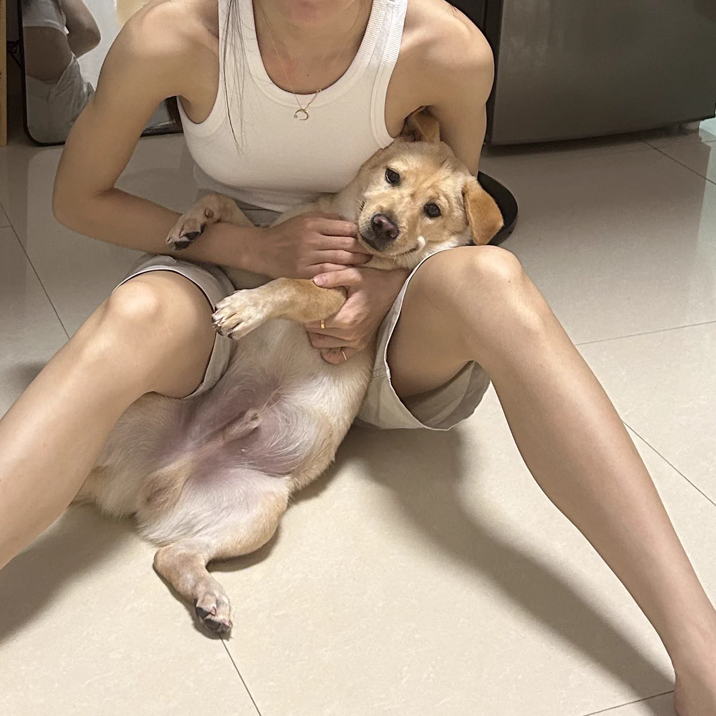 每只小狗都是主人自己的珍宝

好想糖糖小宝🥺🥺 https://t.co/nfKccIDesa