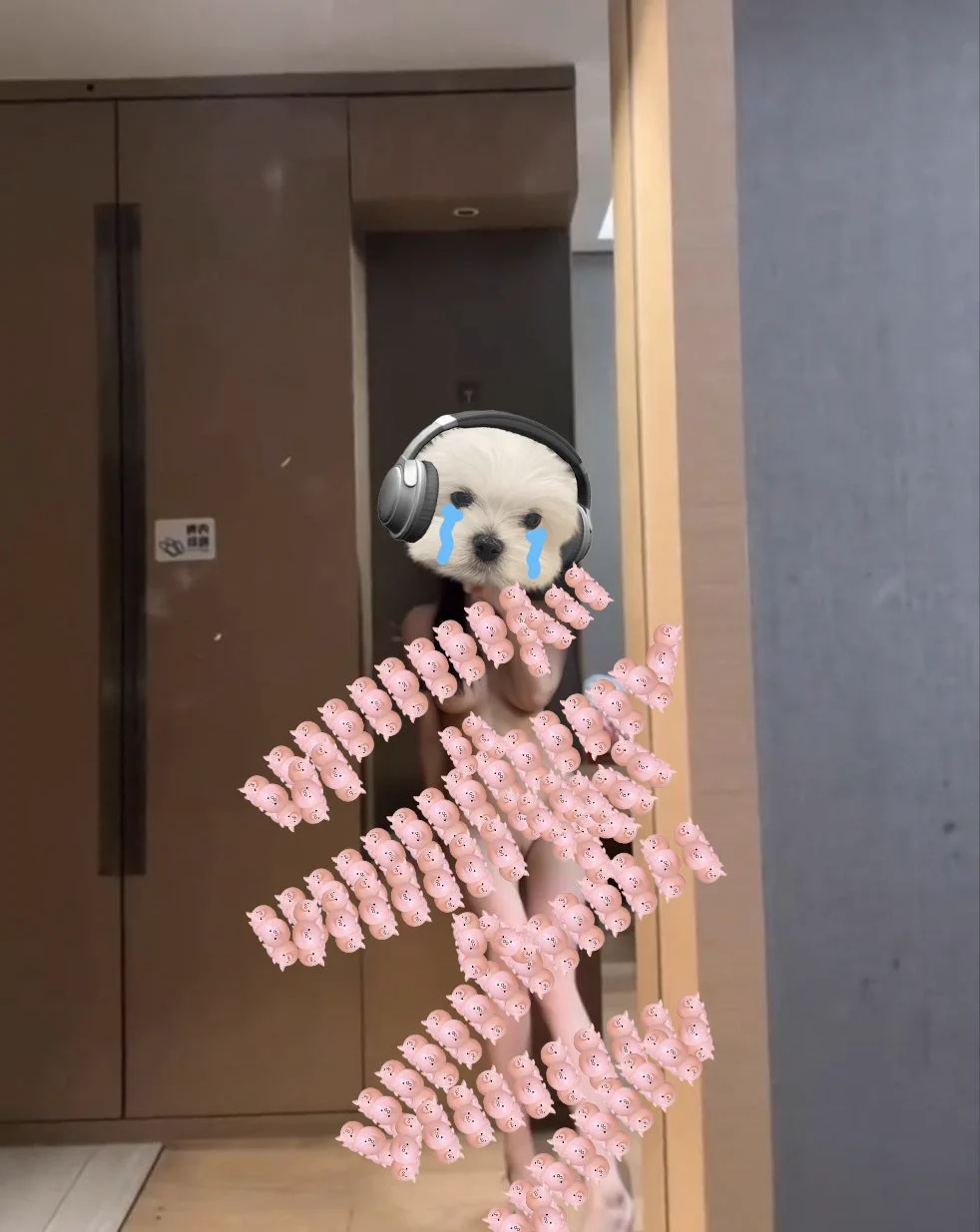 刚拍的，无 码的谁要啊 https://t.co/sESQqmuadG