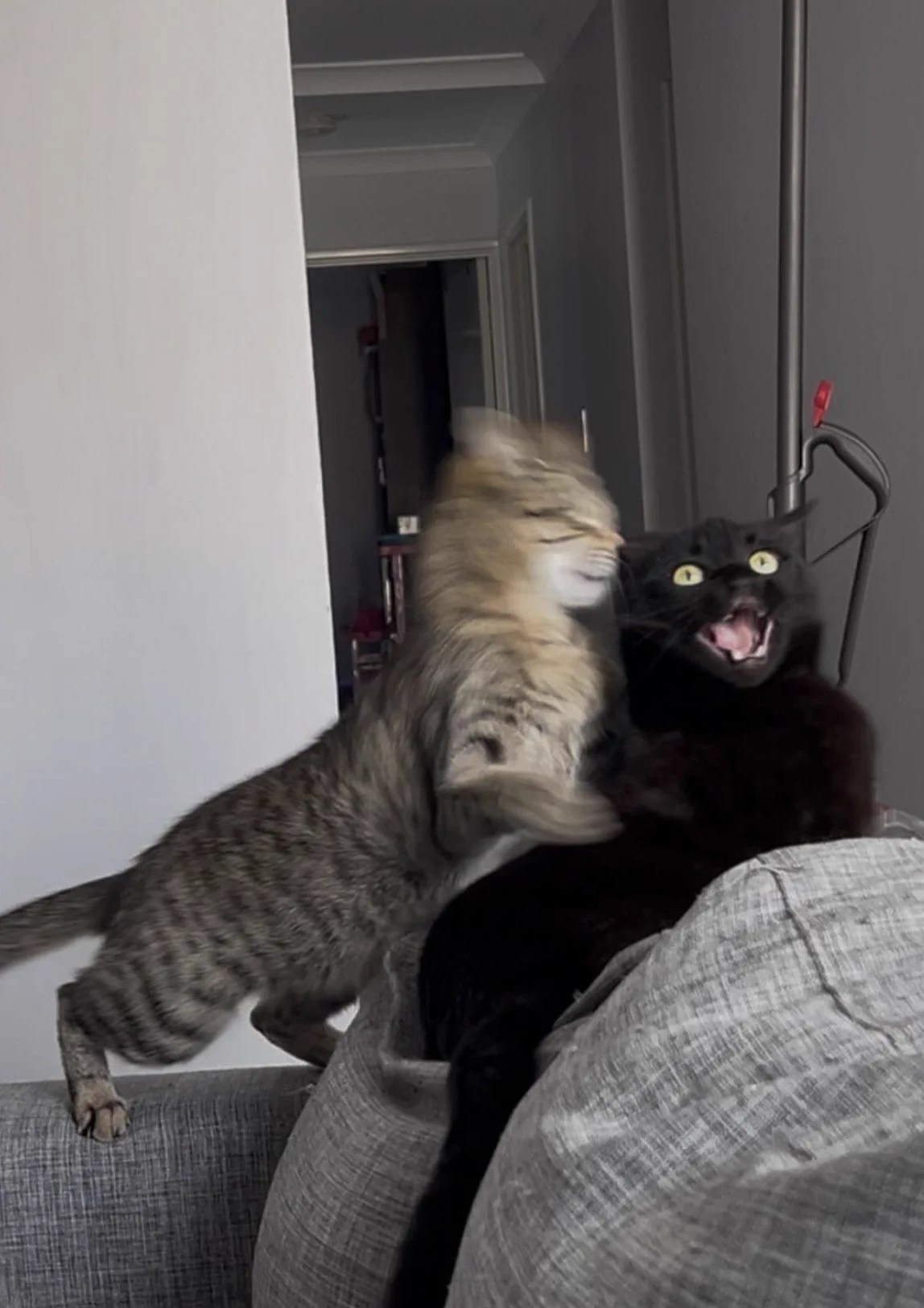 AAAAAAAAAAAAA https://t.co/IG3aEqHDUy