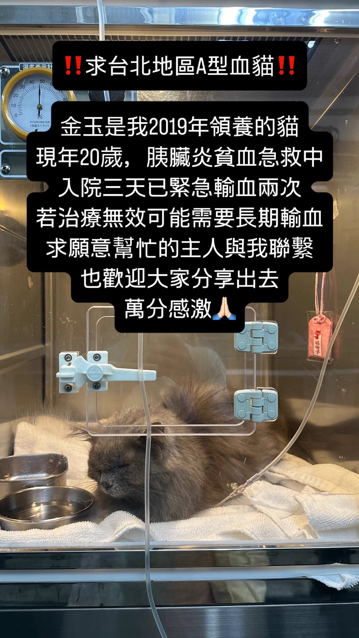 求擴散🥲🥲🥲 https://t.co/rSKoTn82ZU