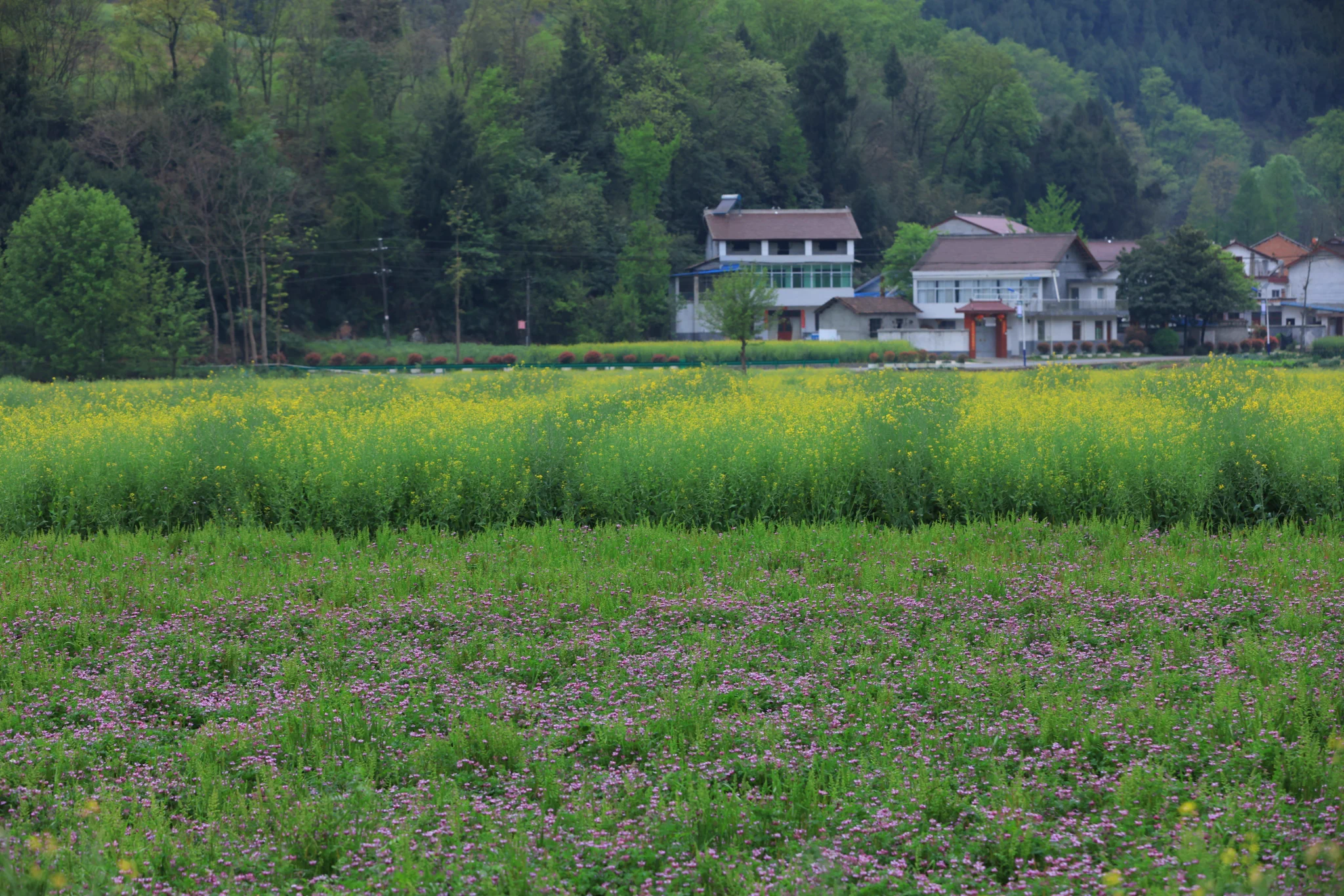 Longwan scenic spot in Hanzhong, Shaanxi is a quiet valley framed by forested cliffs and winding water. Mist rises from the lake in the early hours, while mountains cast long shadows over the calm. https://t.co/t2pRo0P61u