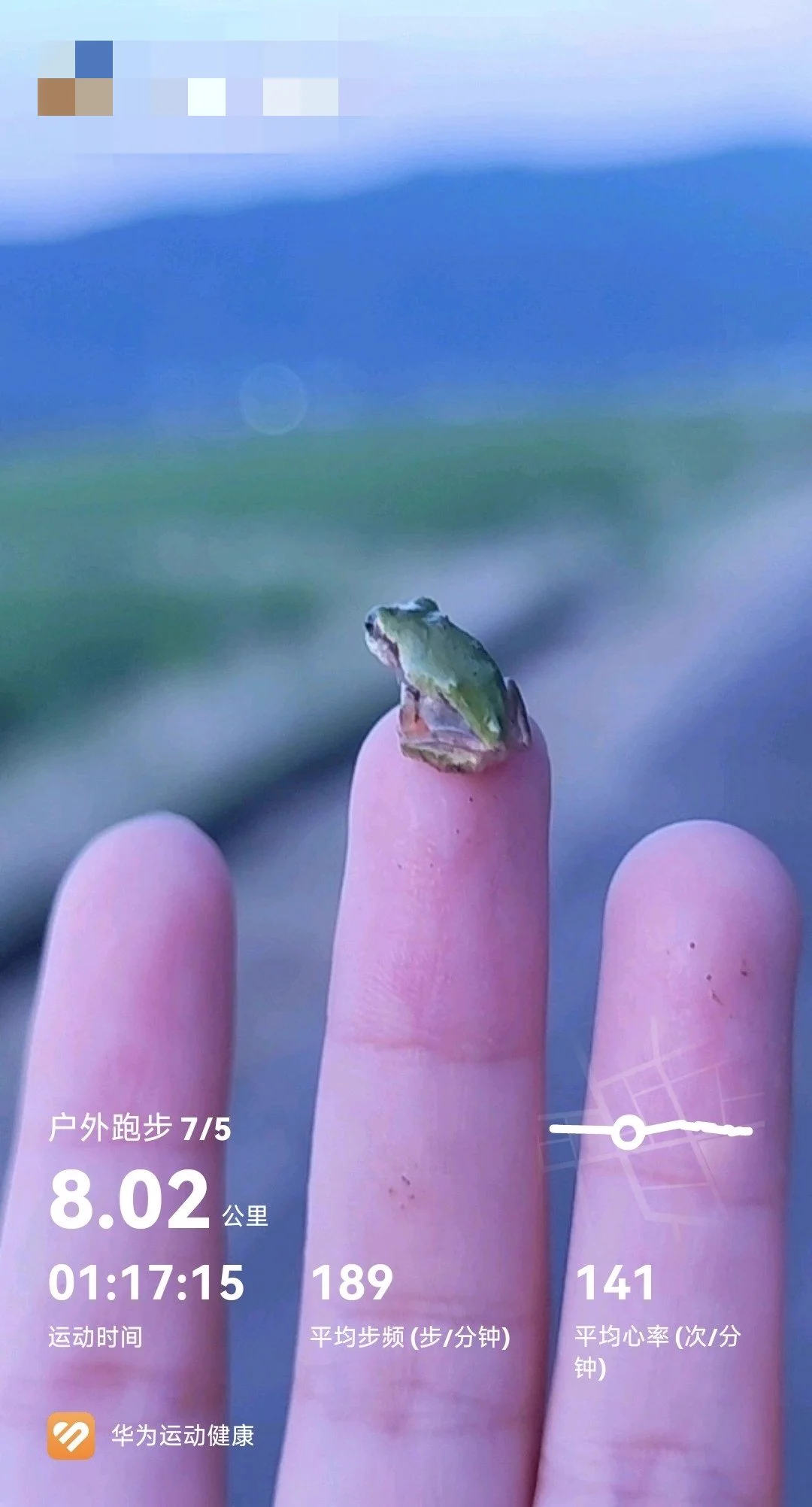 “看你这配速你是不是又中途停下来抓青蛙去了？”
“。。。但是小青蛙就是好可爱啊啊啊啊！” https://t.co/YHbQ152ZAw