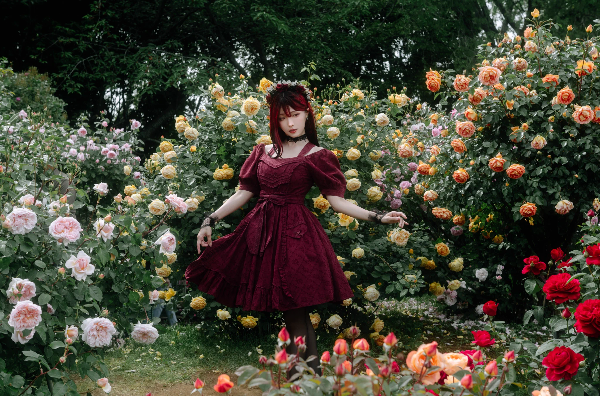 velvet in bloom🌹 https://t.co/9heM9HHJQW