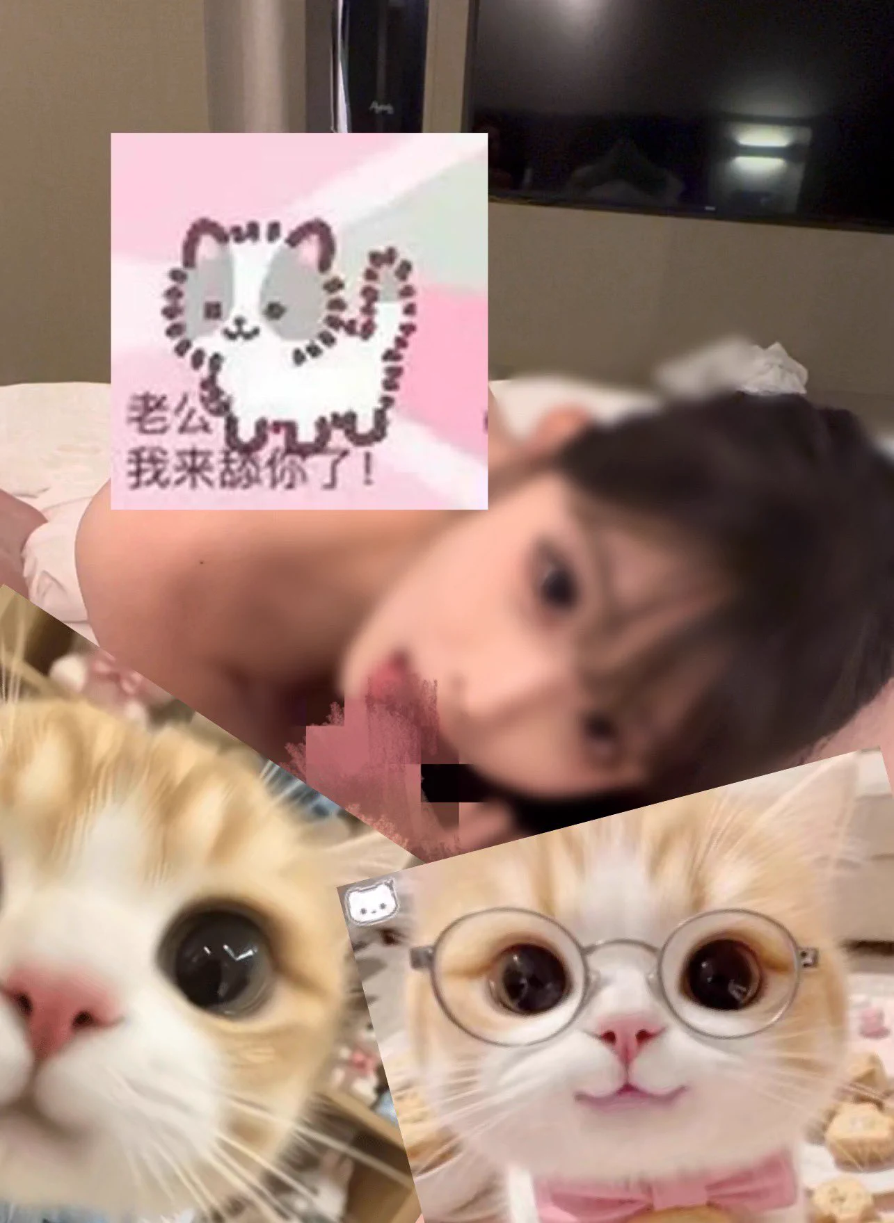 👅👅想看吗hhh，入门直接x私信，不要私信其他地方！ https://t.co/wOby1V8Jyw