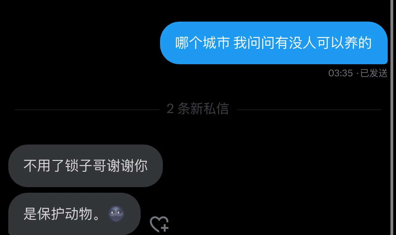 我说这个豹猫怎么这么豹 https://t.co/oJkyc7dBh8