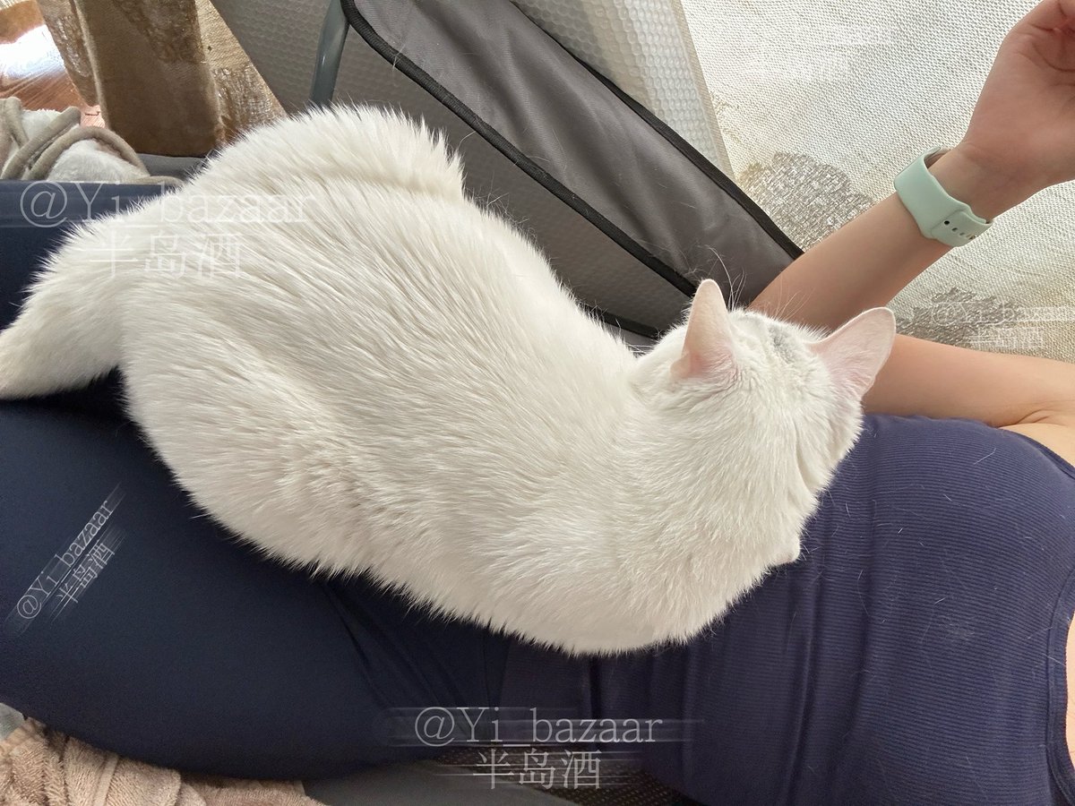 今天歇一天 https://t.co/lpN3bYO3Pd