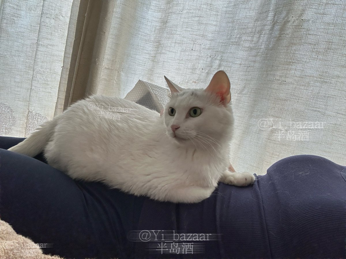 今天歇一天 https://t.co/lpN3bYO3Pd