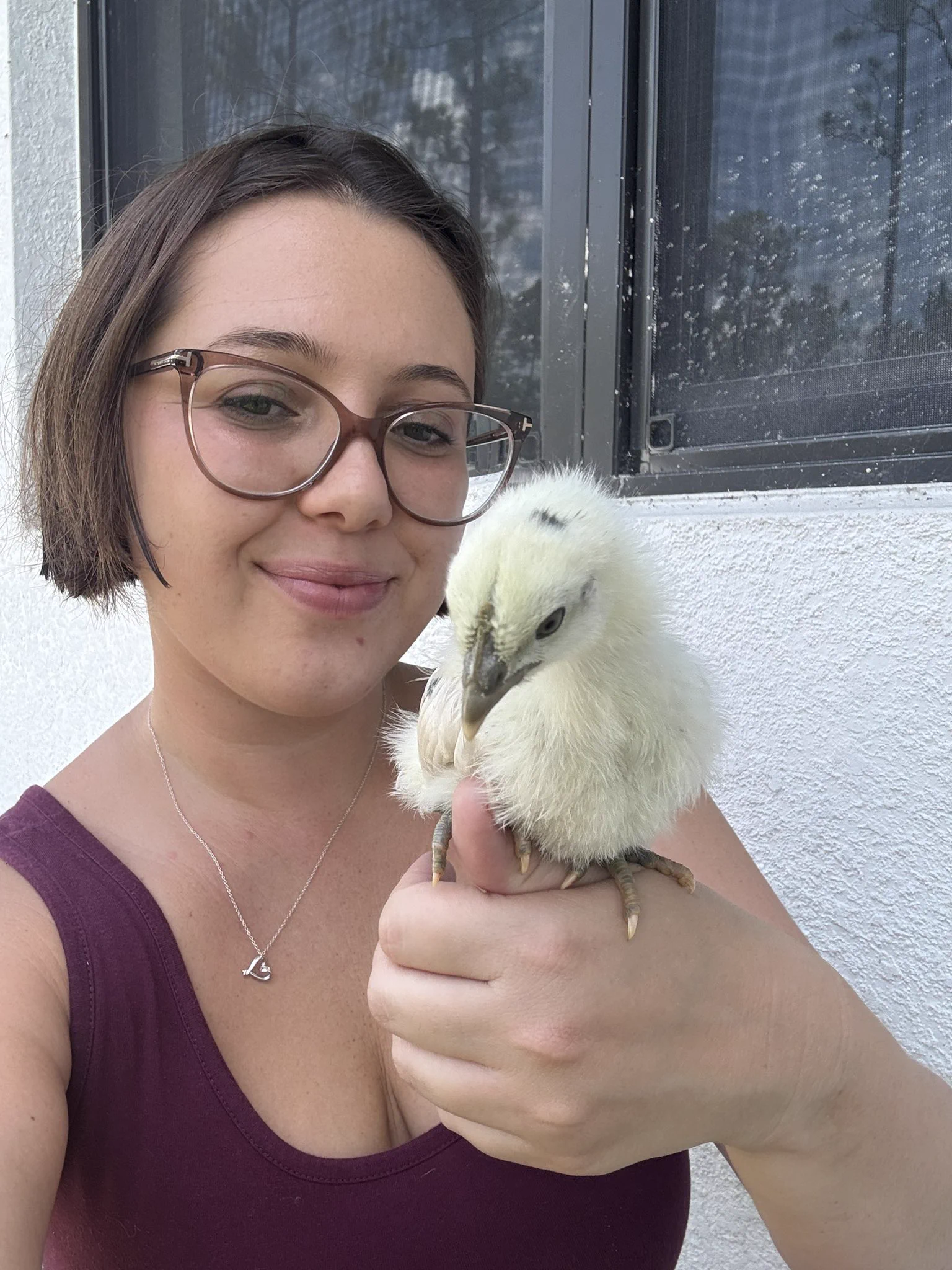 First time free ranging the chicks! Guess who’s my favorite 🤭 https://t.co/FhV1W3Ijdr