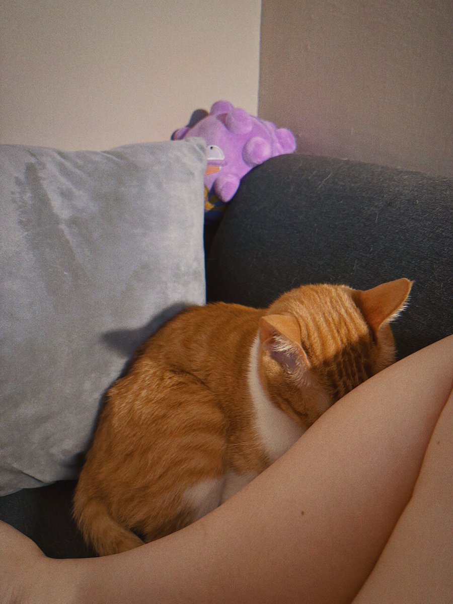 小貓跟我一起睡在沙發上
兩三個小時都跟我黏在一起
需要碰到我的皮膚才能安心睡
媽媽第一次知道你也這麼怕打雷呀
在媽媽身邊睡到耳朵都暖呼呼的
害我都不敢移動 深怕她就這麼被我吵醒怎麼辦
外頭還在下大雨 都沒有停過
你就這麼一直靠在我腳邊睡吧 寶寶 https://t.co/HEBBL5ssNq