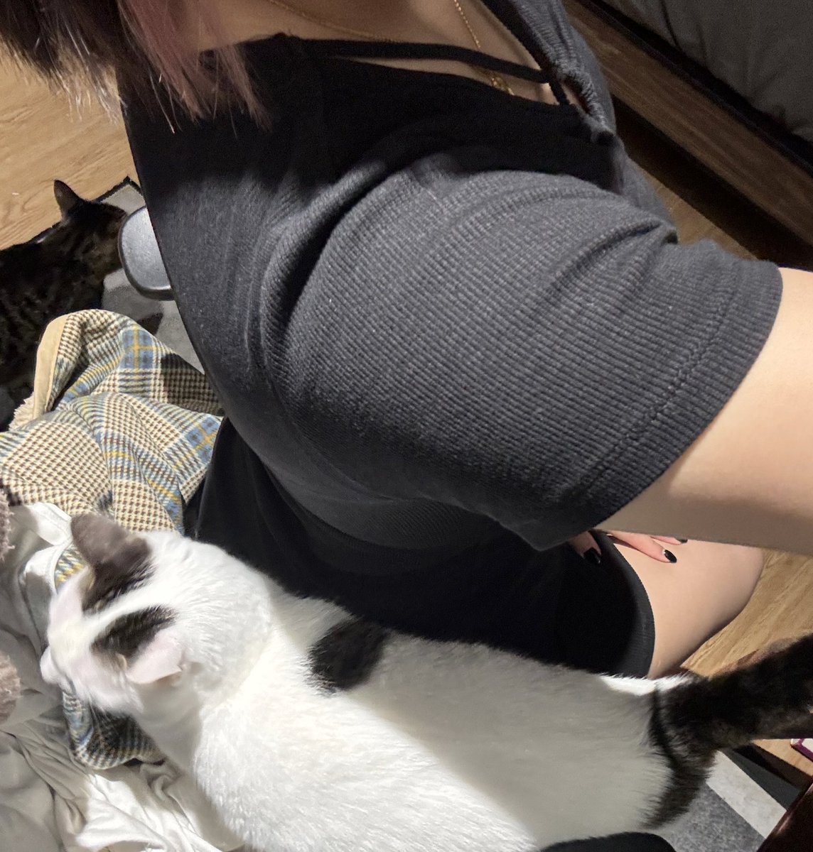 小貓咪+小貓咪+小貓咪 https://t.co/6EPYn4wPgS