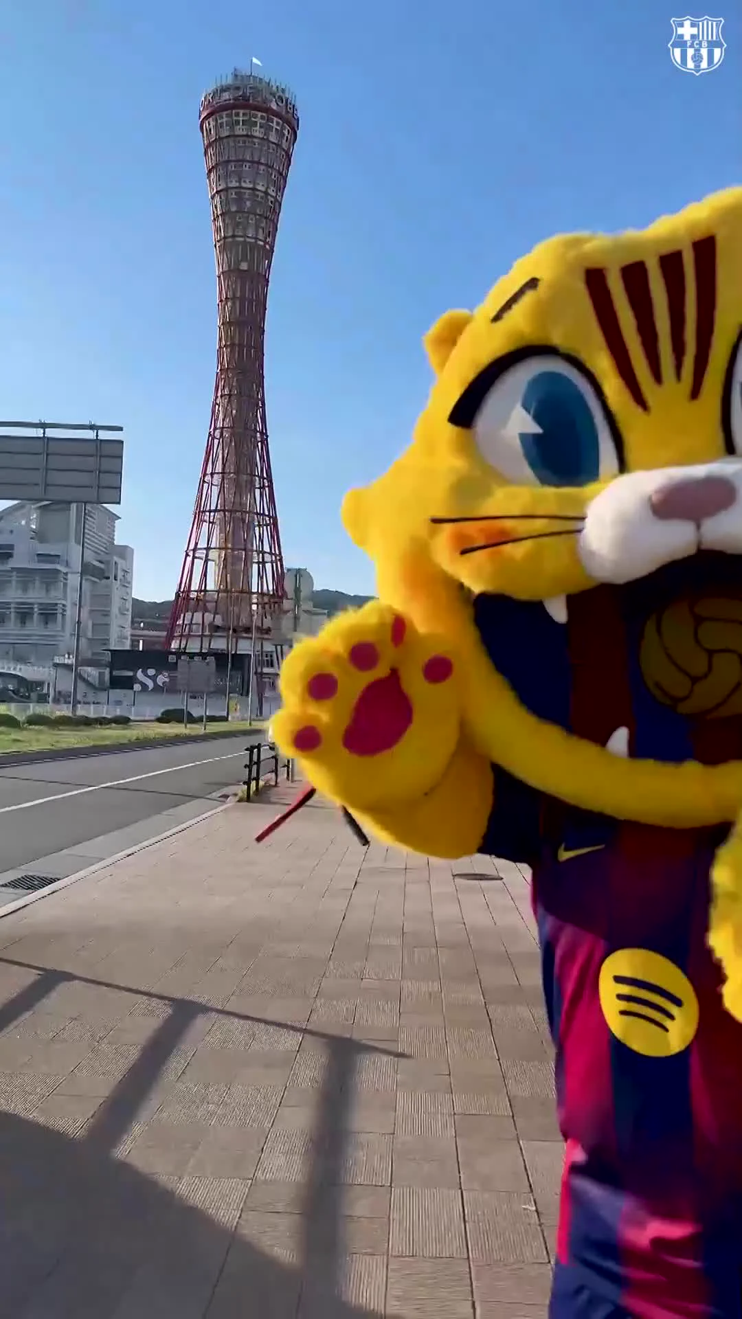 Cat loved Kobe 🥰 https://t.co/KlKgYbDMhp