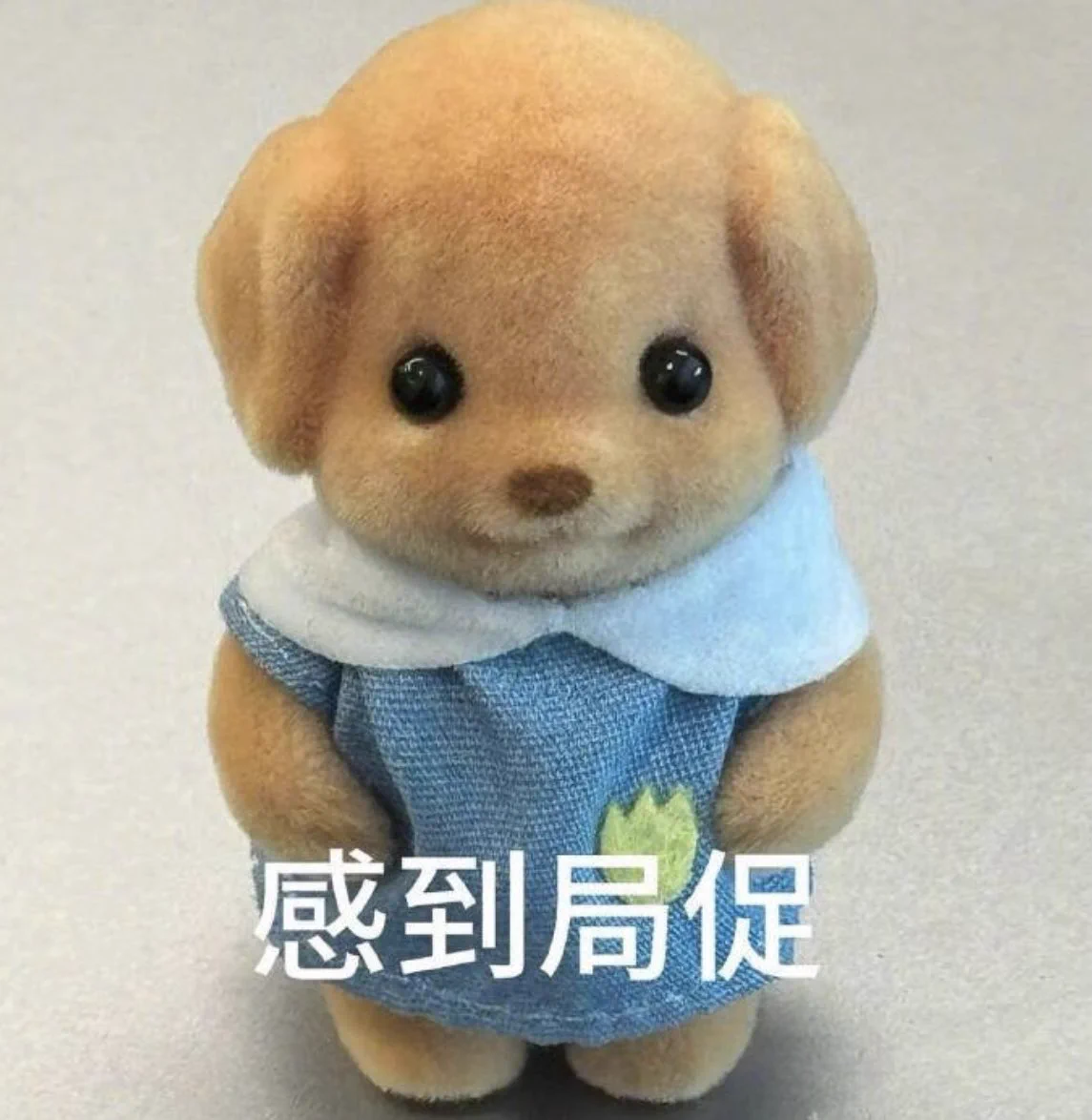 天天发裸照视频都没有门槛 https://t.co/7EQpXncQqc