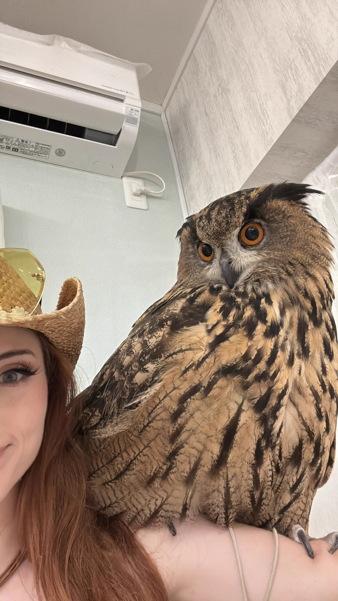 Do you prefer Hoothoot or Noctowl? https://t.co/QX7f4Mk22e