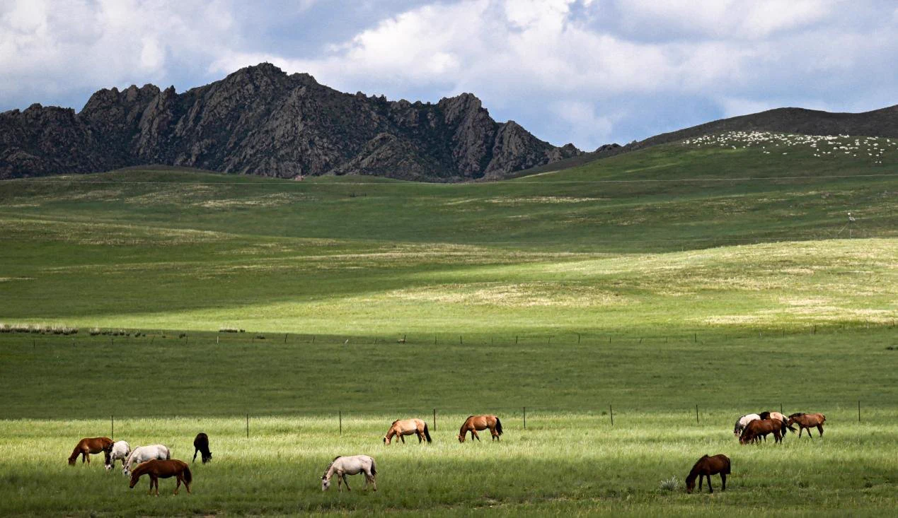 Rolling grasslands stretch to the horizon in East Ujimqin Banner, Inner Mongolia, where summer paints the landscape in shades of green. This vast prairie, part of Xilingol League, showcases the quiet beauty of northern China's open wilderness. https://t.co/SZNoX6R2Et