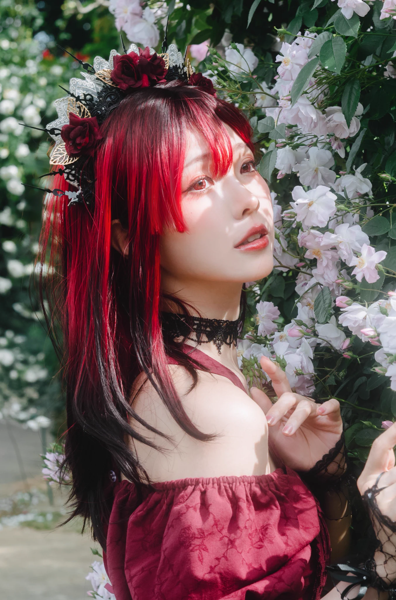𝐷𝑎𝑤𝑛𝑙𝑖𝑡 𝑅𝑜𝑠𝑒🌹 https://t.co/fXhk2usxnX