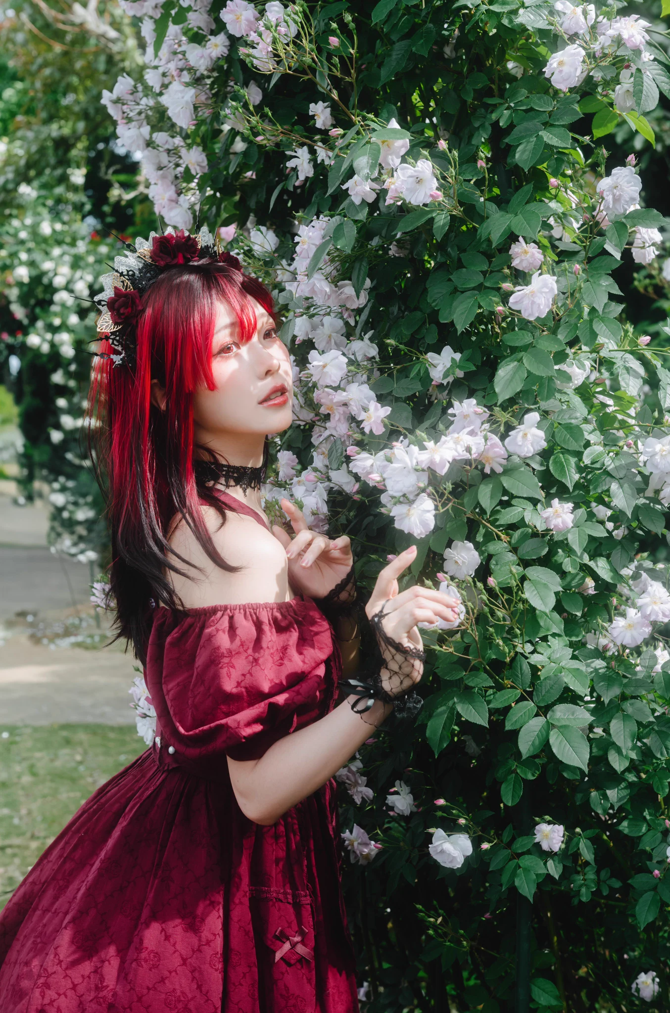 𝐷𝑎𝑤𝑛𝑙𝑖𝑡 𝑅𝑜𝑠𝑒🌹 https://t.co/fXhk2usxnX