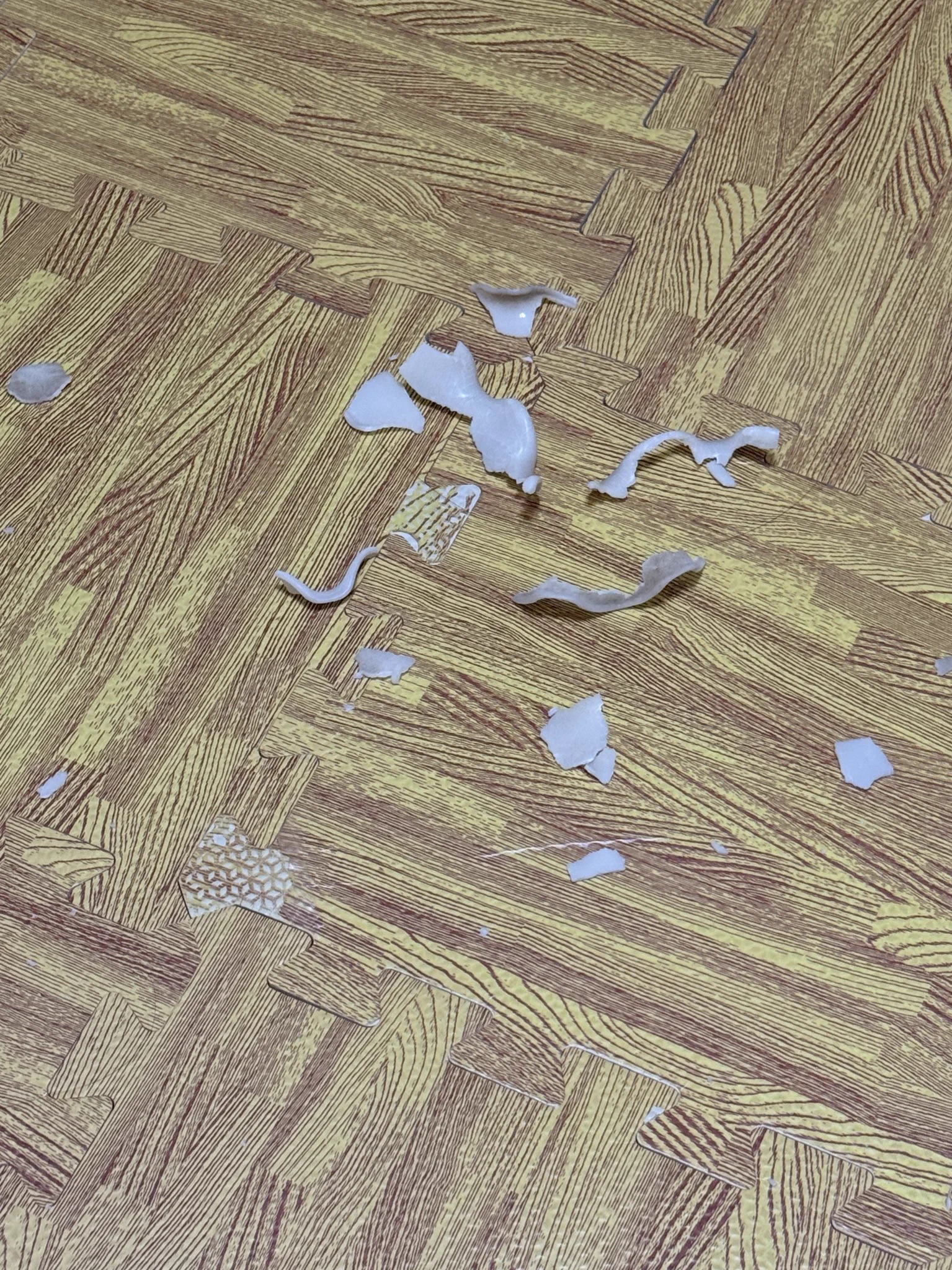 還好狗狗昨天沒有睡地板…

房東不會叫狗狗賠吧

他自己掉下來的🙁

碰一聲 害狗狗嚇醒🥹 https://t.co/IYoczamgZg
