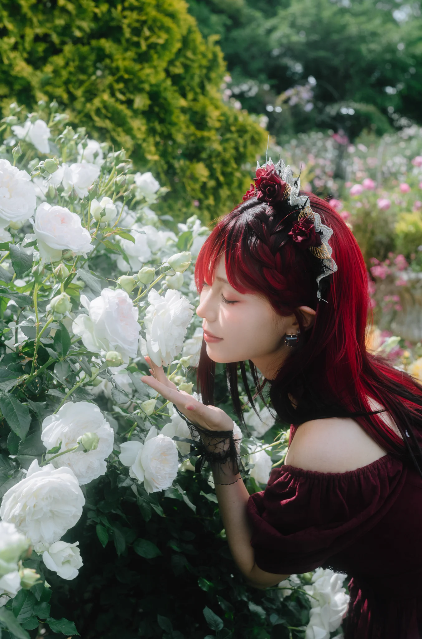 🌹
ベルベットローズ https://t.co/YgMkFUX0gh