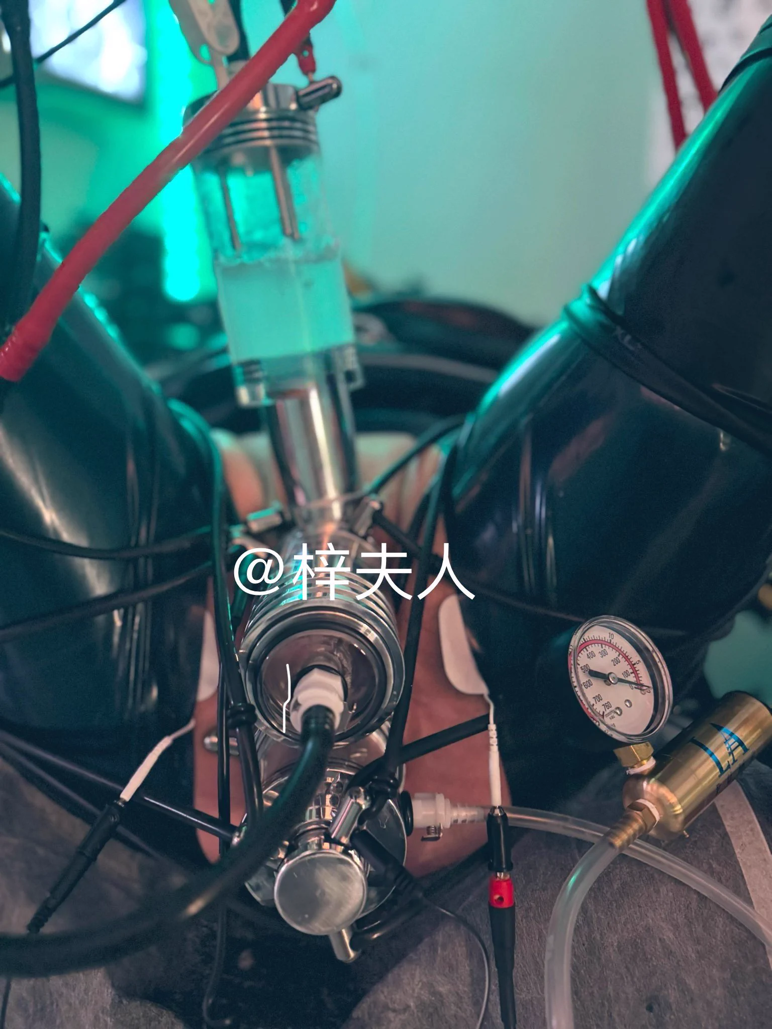 把你那肮脏🤡的精液💦贡献给🖤主人取乐😈

Contribute your dirty 🤡 semen 💦 to the 🖤 master for fun 😈

@SexytoBaby
@SexytoLady
@SexytoDoll
@SexytoGirl https://t.co/epr2rthb38