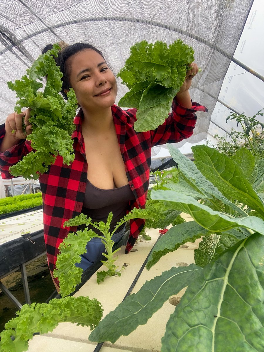 กินผักเยอะๆจะได้แข็งแรง 😁 https://t.co/UDpfYKZITC