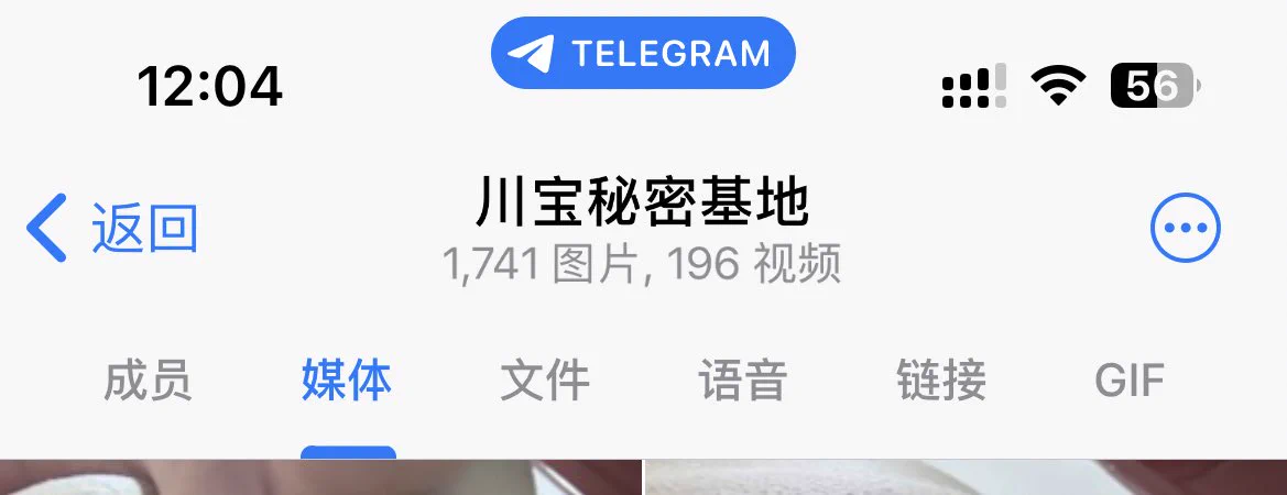七月马上结束了有没有人入个门 https://t.co/wuki4lnGNr