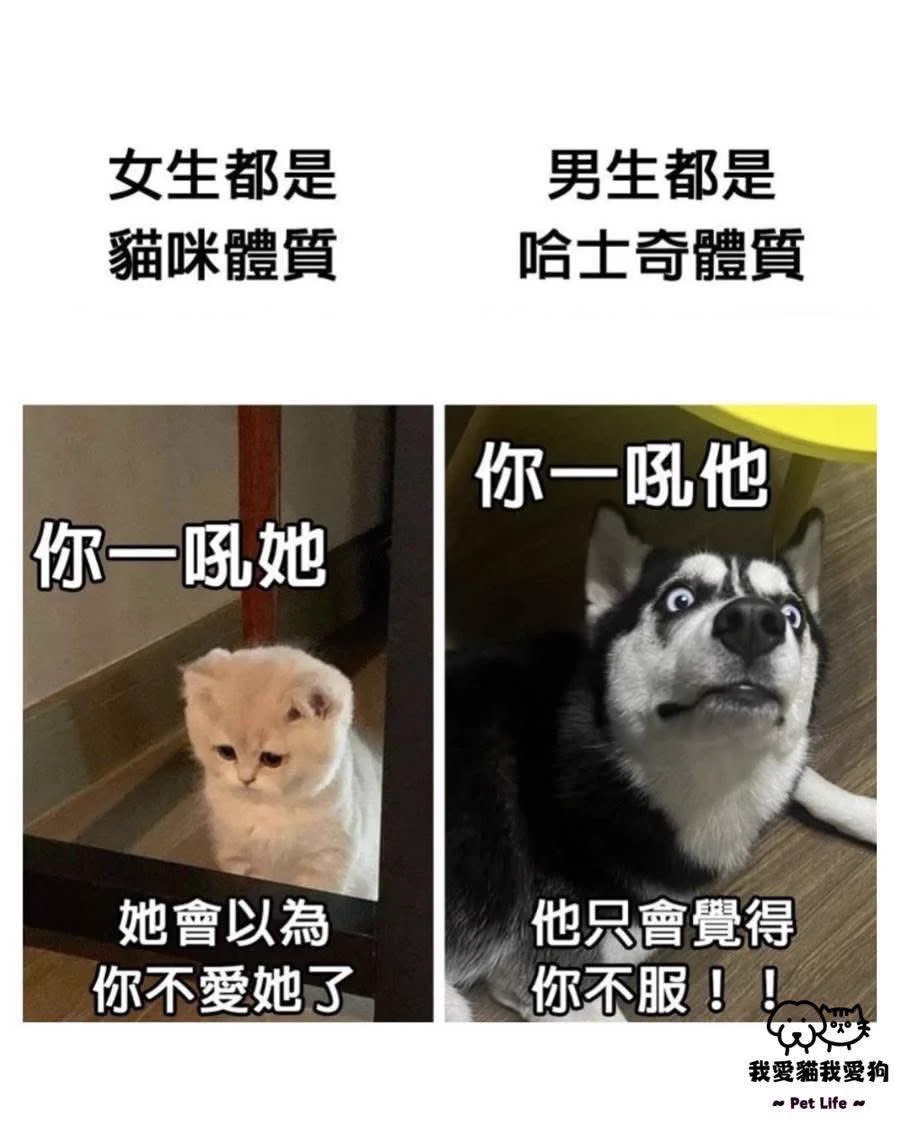 最近老是分不清楚自己是
肚子餓還是反胃

還是肚子餓到反胃……？
#認真苦惱 https://t.co/mOZzWZYpPU