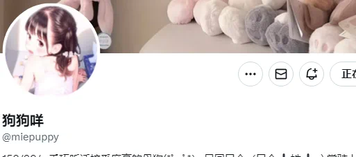 今日mvp小可爱👉@miepuppy
粉丝数：3千
请多多点赞，给狗狗打CALL🥳
————————
关注点评姬，专属为您避坑🩷 https://t.co/IfzcUBfJUy