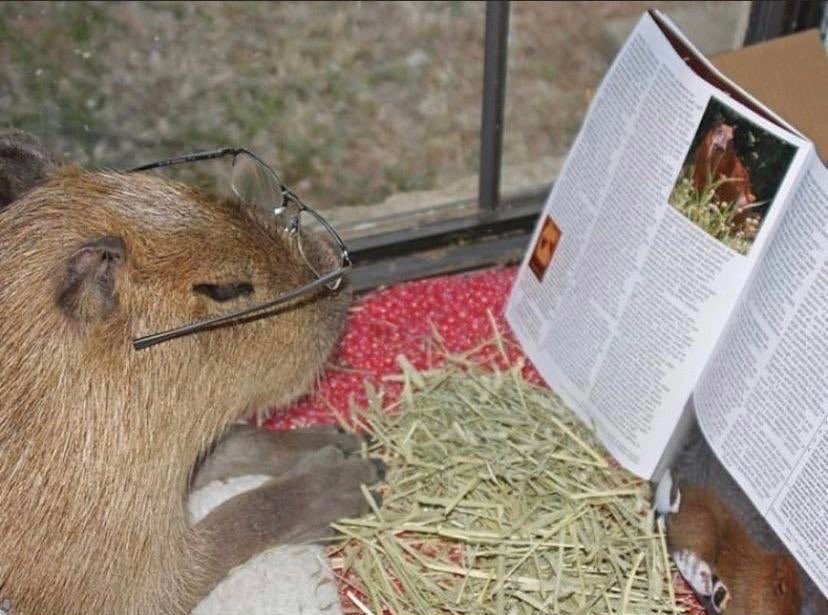 Back to his studies https://t.co/la89PNAET6