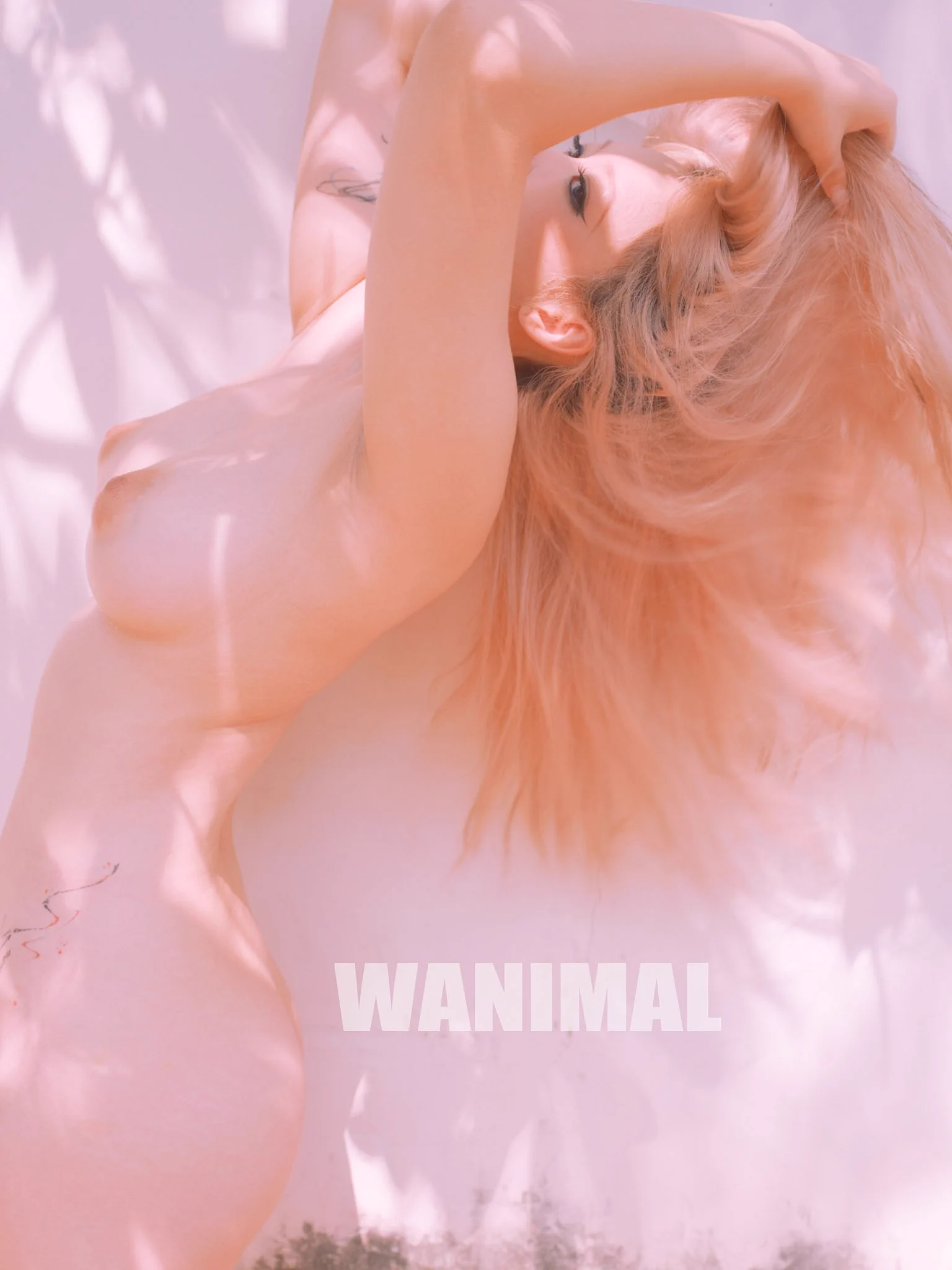 Golden Age

WANIMAL MATE
@cuic9794 https://t.co/shrUEH8rpo