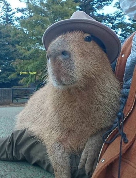 A couple of fashionable guys https://t.co/r54ygIFK2o