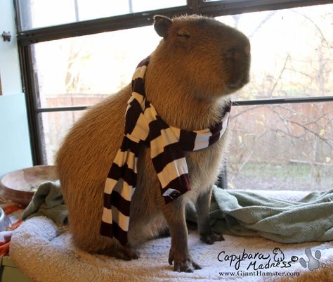 A couple of fashionable guys https://t.co/r54ygIFK2o