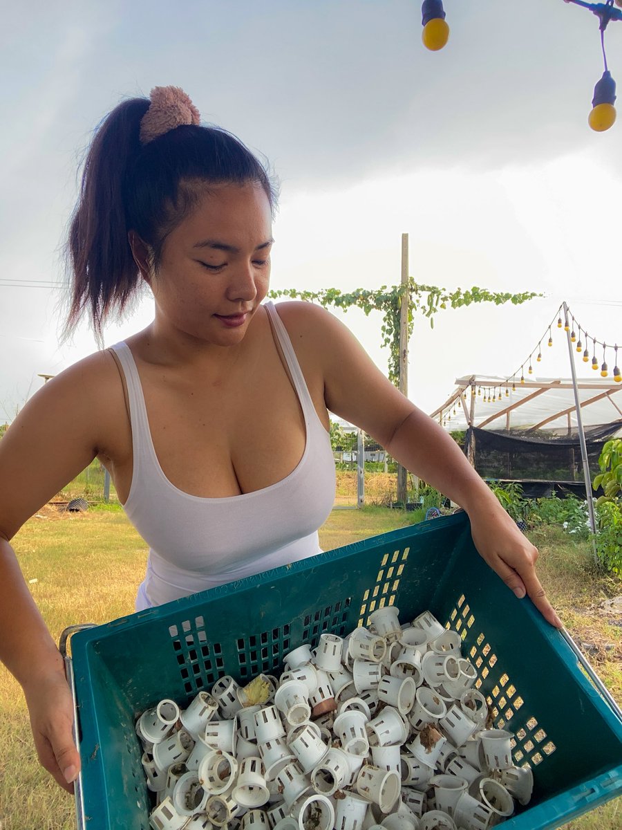 สาวบ้านสวน https://t.co/I3sajhHQSU