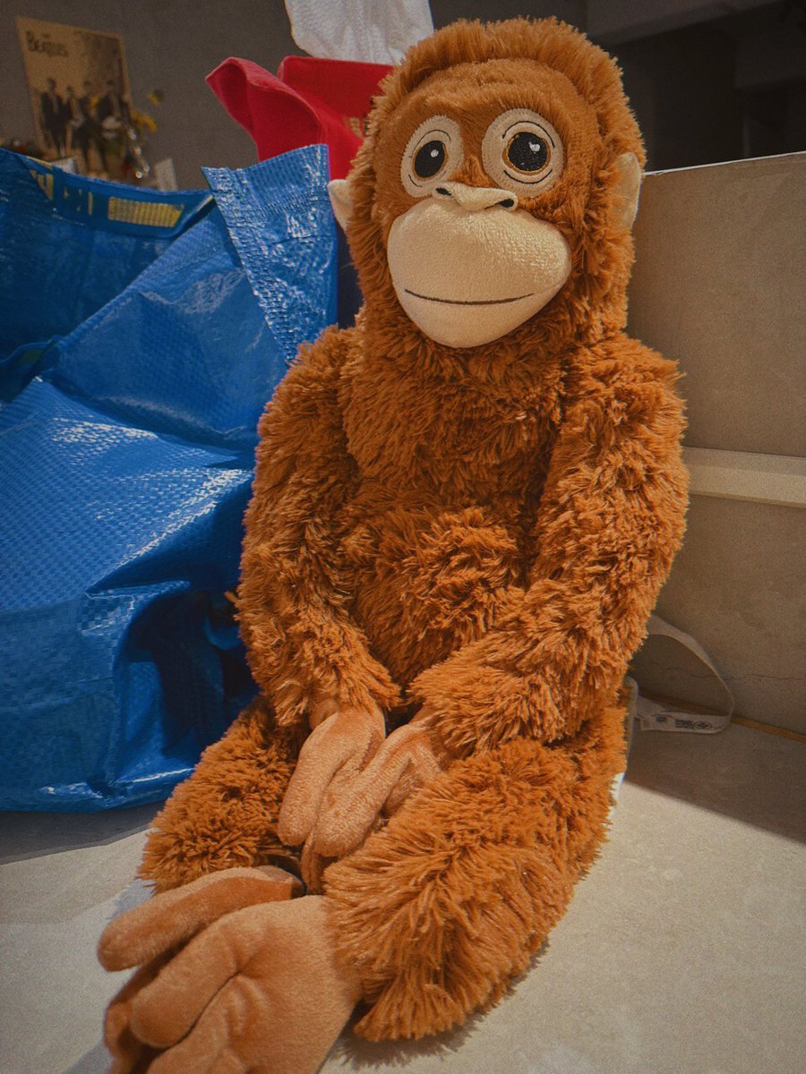 做了一個夢，夢到幾年後我獨自生了小孩當了媽媽，小女孩對我笑著，童言童語的跟我一起逛賣場，對我微笑叫我馬麻～
夢境中我滿滿的幸福感，因爲我可以給她好多好多愛，也很願意學著如何當一個好媽媽。

因為還沒生小孩，先買娃娃🌝
貓咪對娃娃很好奇，還會幫她舔毛🤣 https://t.co/GiNevJrZGO