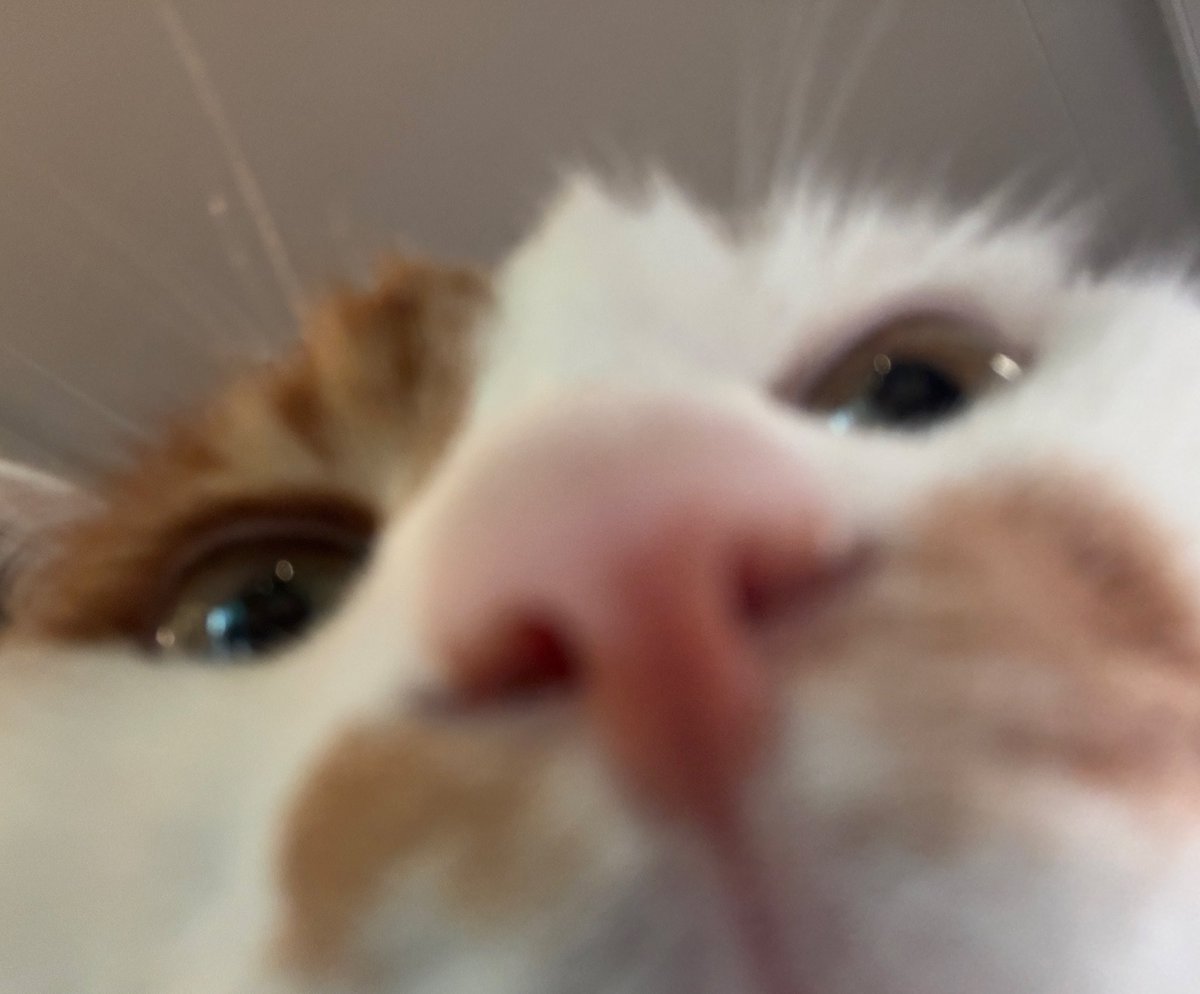 fine https://t.co/62xiqEIhvQ