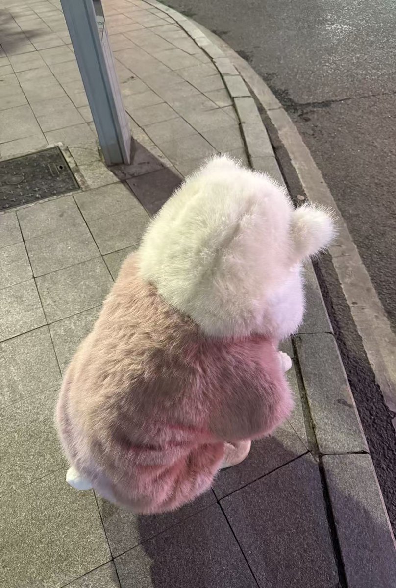 来自门哥偷拍的锤酱哈哈哈哈哈 https://t.co/0jxCEuGJ9J