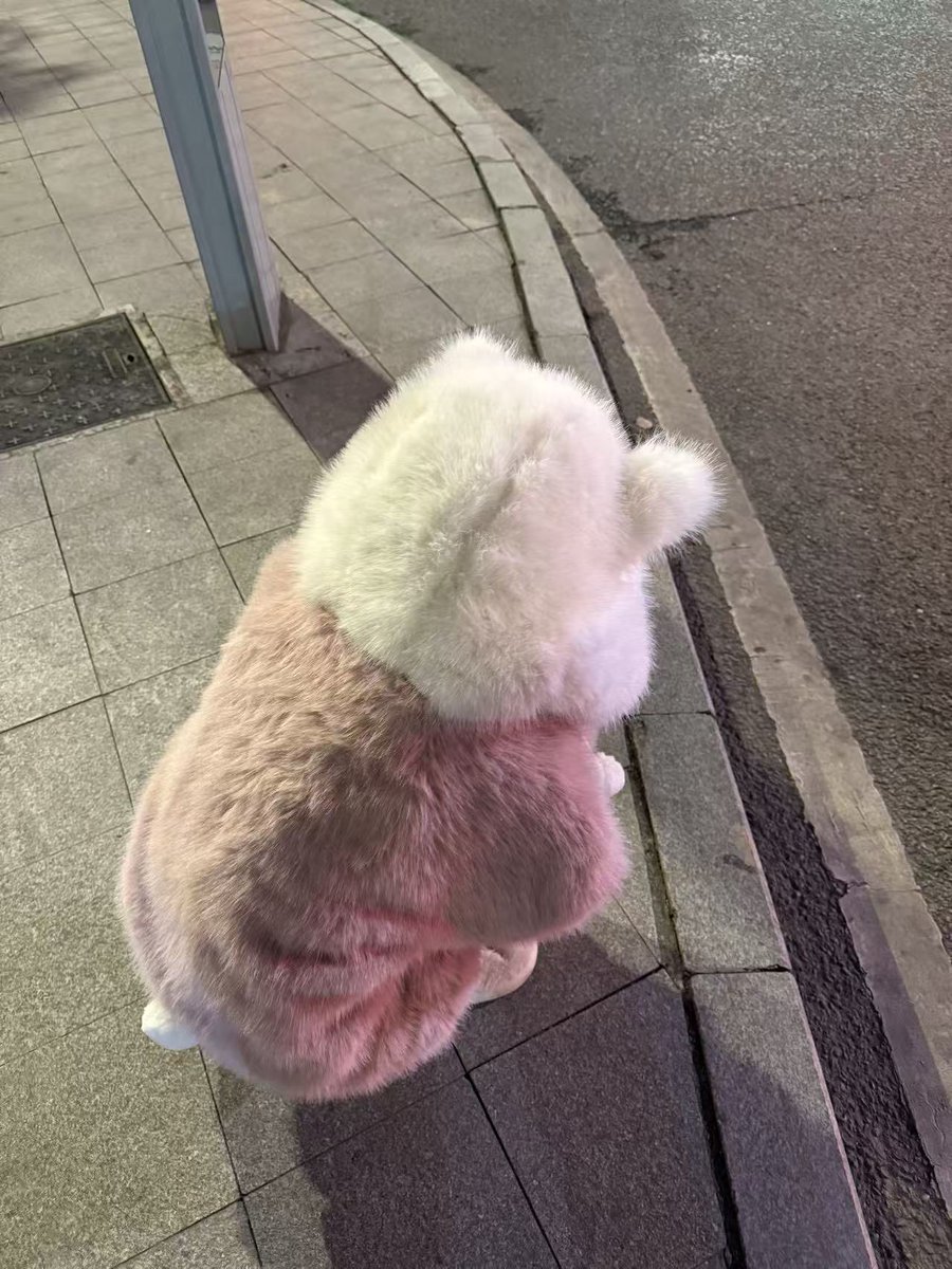 来自门哥偷拍的锤酱哈哈哈哈哈 https://t.co/0jxCEuGJ9J