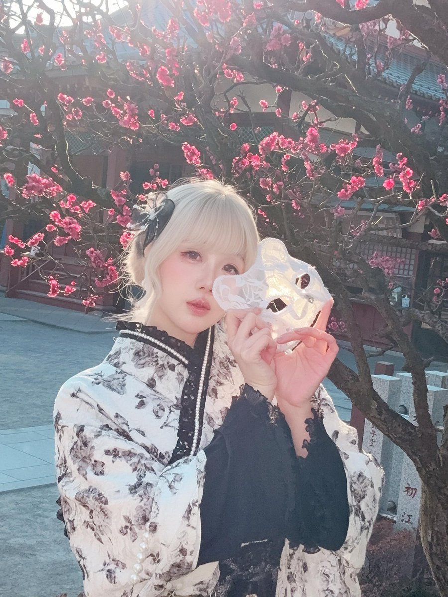 日本🌸は美しいෆ 好き❤️ https://t.co/kfur7IrTfs