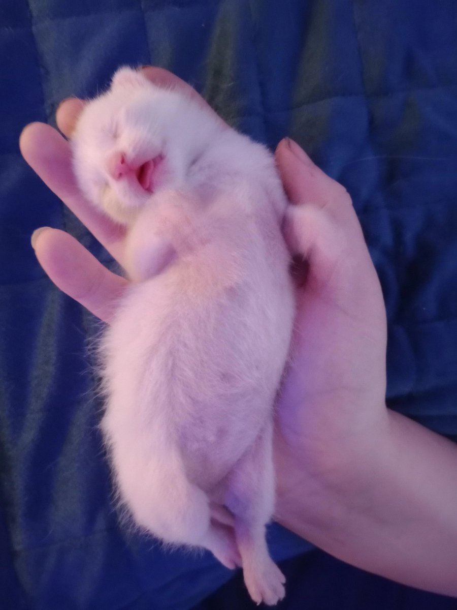 Have obtained the soup! https://t.co/M19ejuqiFg