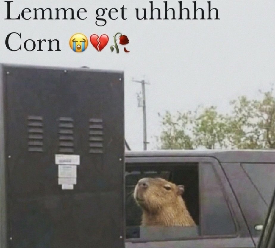 🌽 https://t.co/4dmb87S4of