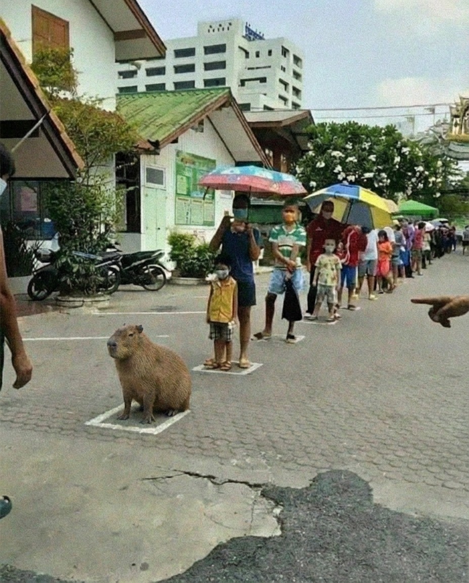 Next time i'm ordering...😮‍💨 https://t.co/a9790UdOF4