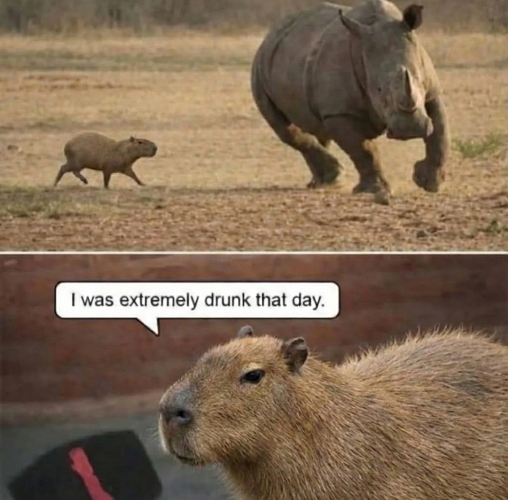 Valid crashout 😂 https://t.co/1JRUvFCcfm