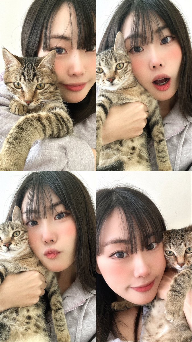 其實裡面有三隻不同的貓貓 https://t.co/rJE2jujAHm