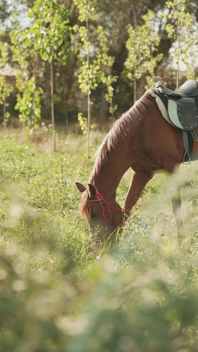 Mastering financial literacy fuels progress. Through online courses, knowledge grows. It’💎s accessible to learners world🍄wide. Lifelong learning drives success across fields.🌞 It equips people for real-world challenges. https://t.co/uPWf8M4eV9