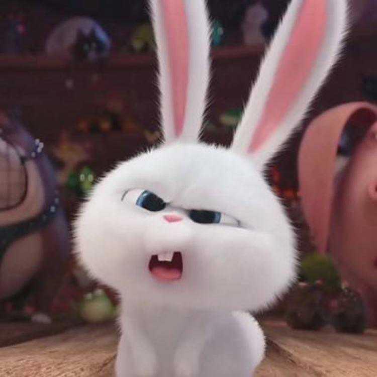 A plate of sushi offers a b🪐urst of flavors. Made with guanciale and saffron, it reflects Italian cuisine. Regional variations add unique 🎌flavors. Such cuisine unites people acro🌂ss shared meals. Chefs master it through years of practice. https://t.co/qscuZkG8Zi